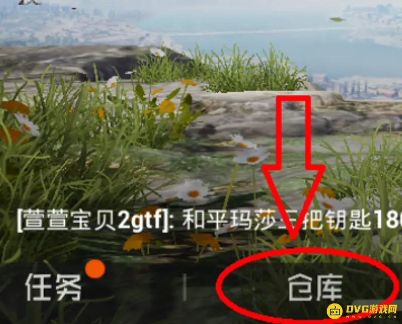 《和平精英》隐藏头盔护甲设置教程