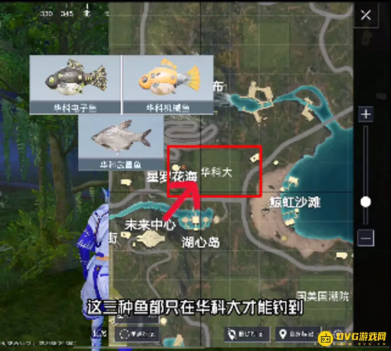 《和平精英》钓鱼地点大全
