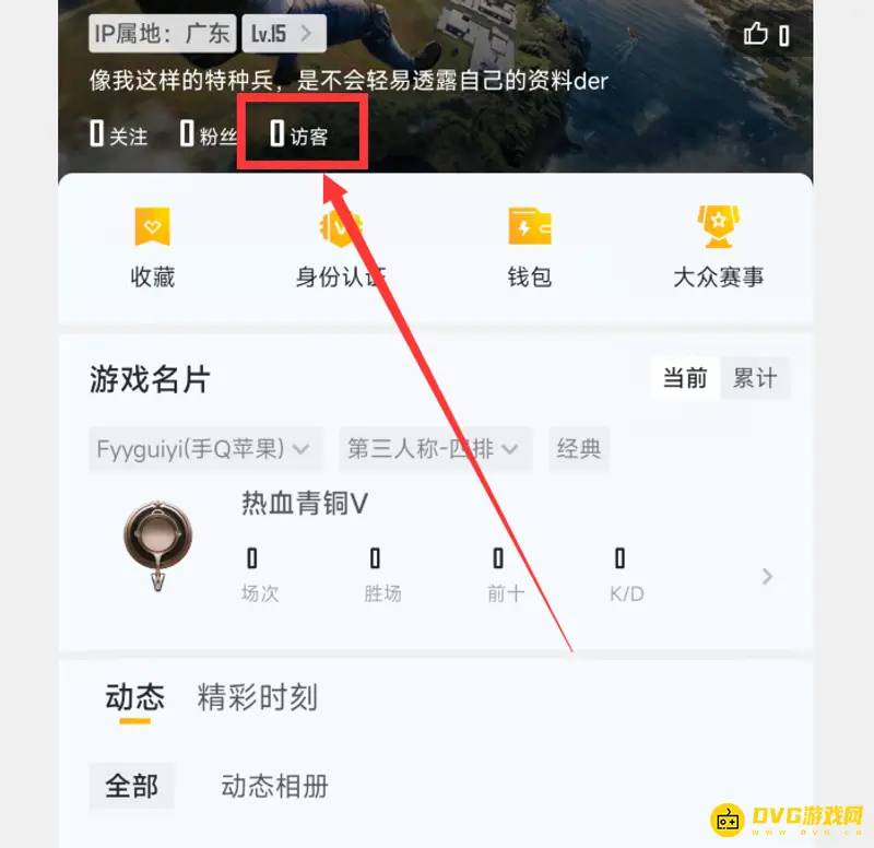 《和平精英》主页访问记录说明