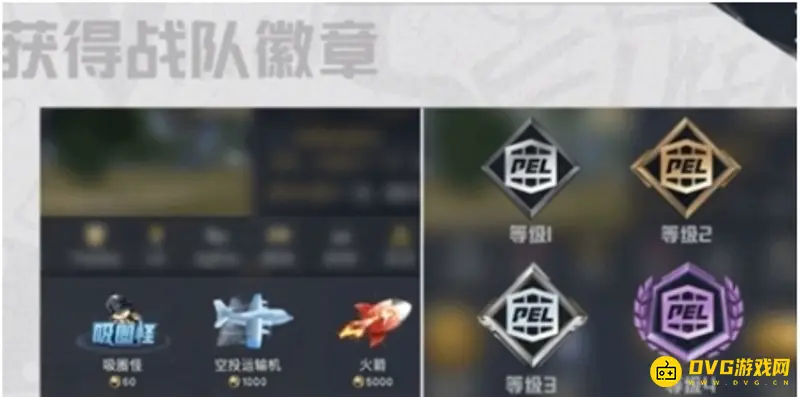 《和平精英》粉丝牌怎么展示-战队勋章获取方法