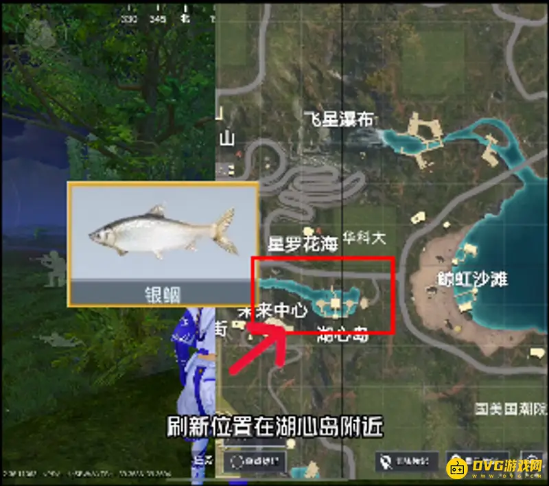 《和平精英》钓鱼地点大全