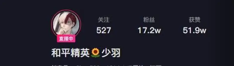 《和平精英》杨志平介绍