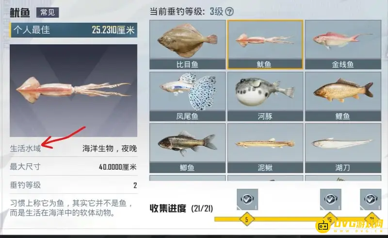 《和平精英》鱿鱼怎么钓-绿洲世界鱿鱼的钓鱼位置和时间