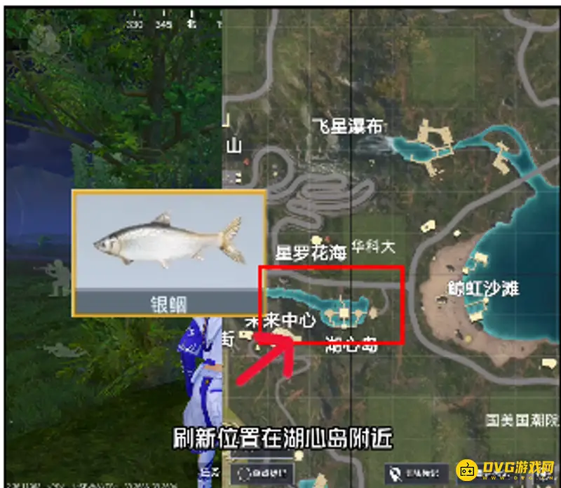 《和平精英》绿洲世界银鲴钓鱼指南-湖心岛钓点及出现时机
