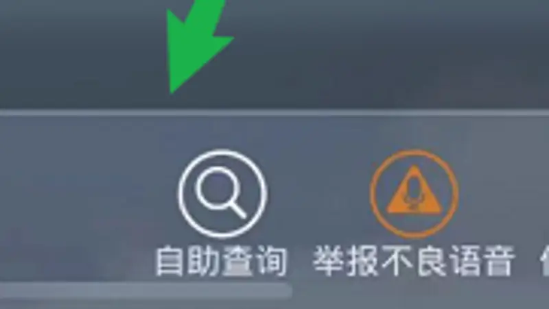 《和平精英》点券消费记录查询方法