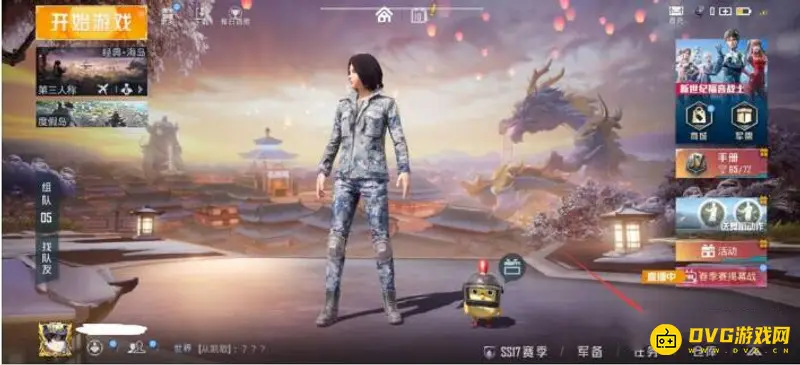 《和平精英》皮肤显示问题解析