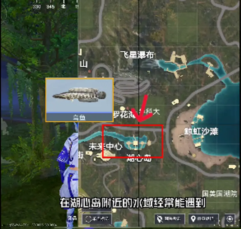 《和平精英》怎么选择合适的钓点进行垂钓-各类鱼类分布详解