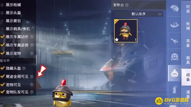 《和平精英》宠物携带指南