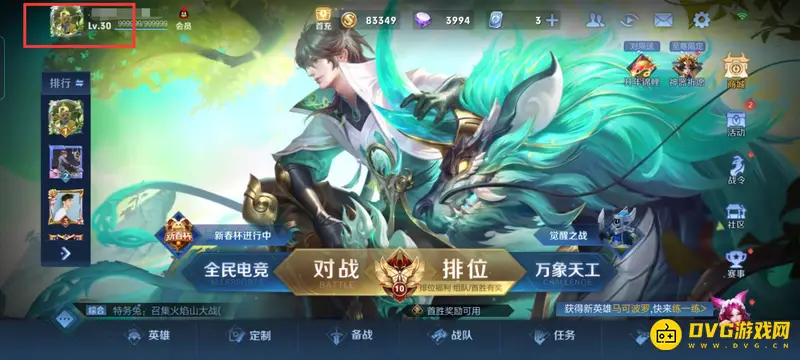 《王者荣耀》分路隐藏方法