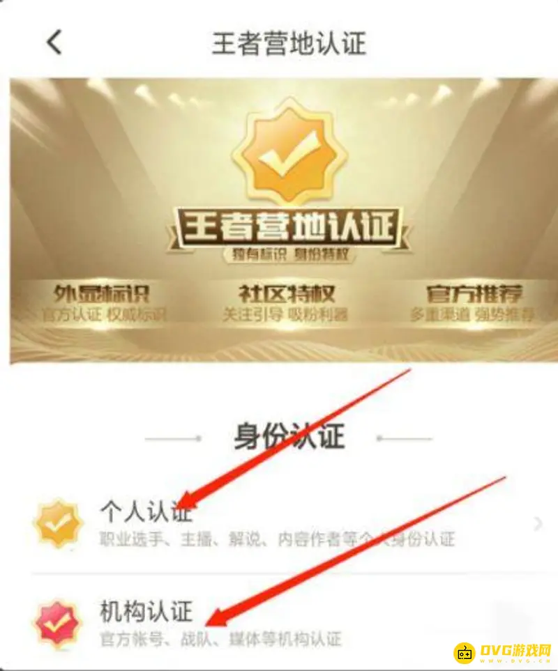 《王者荣耀》王者营地巅峰王者认证条件详解