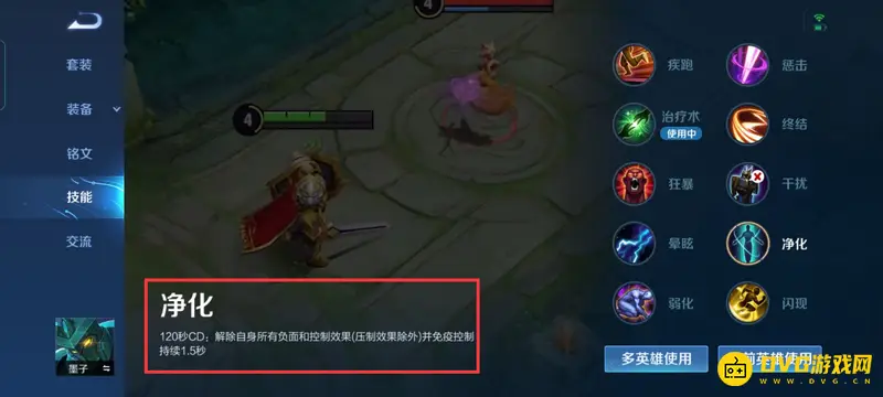 《王者荣耀》庄周带净化什么意思