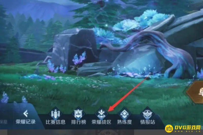 《王者荣耀》荣耀榜显示问题解析