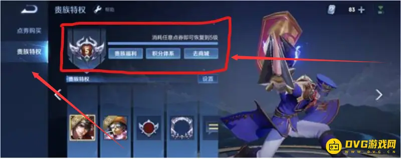 《王者荣耀》VIP等级查看方法