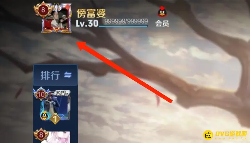 《王者荣耀》英雄表现分查看方法