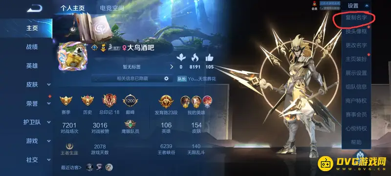 《王者荣耀》名字复制方法详解