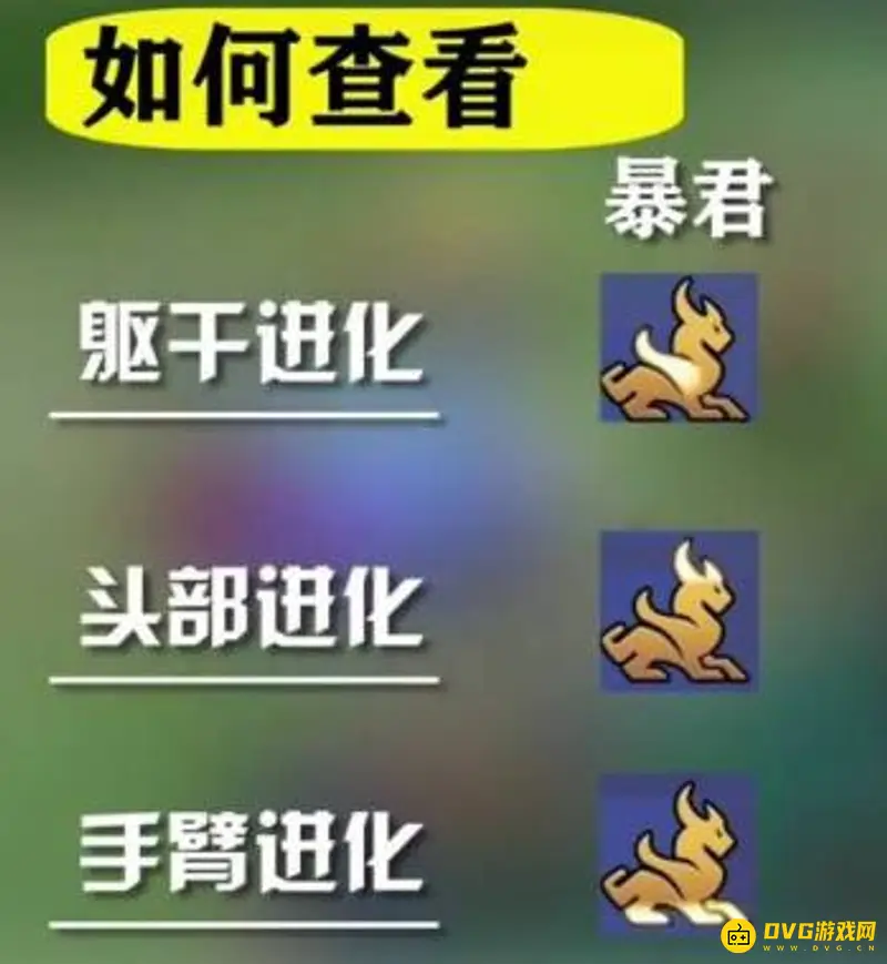 《王者荣耀》龙的属性查看方法详解