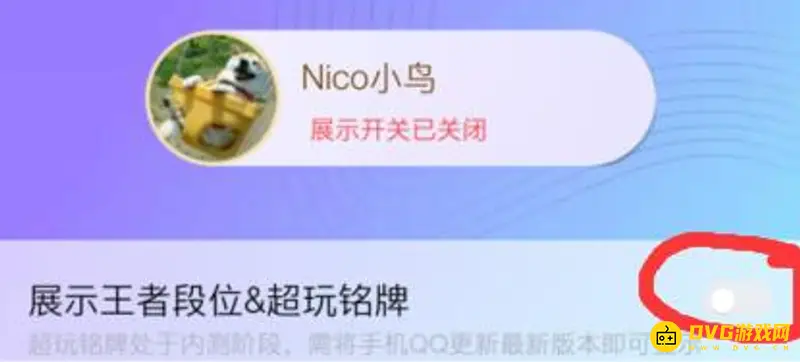 《王者荣耀》QQ段位显示设置指南