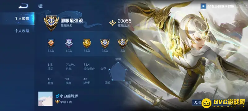 《王者荣耀》小国标和大国标的区别是什么-小国标和大国标的区别