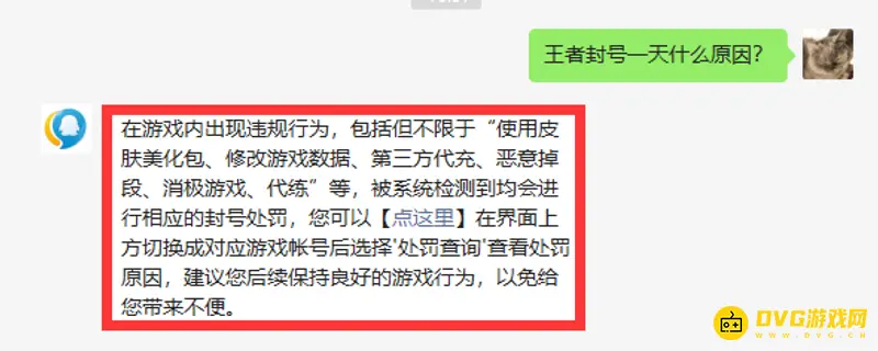 《王者荣耀》封号一天原因解析
