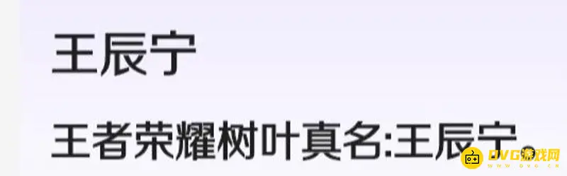 《王者荣耀》树叶真名揭秘