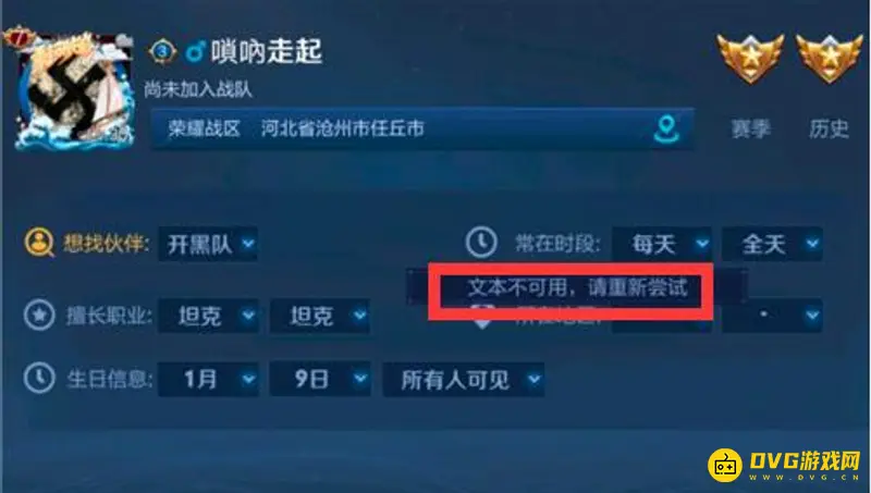 《王者荣耀》改生日文本不可用原因解析