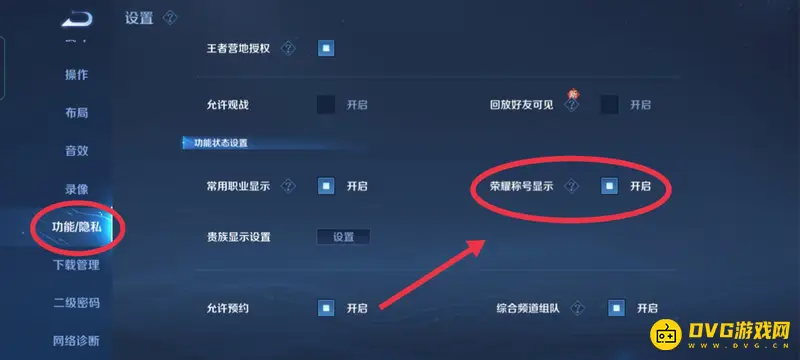 《王者荣耀》区排名前100标志显示方法