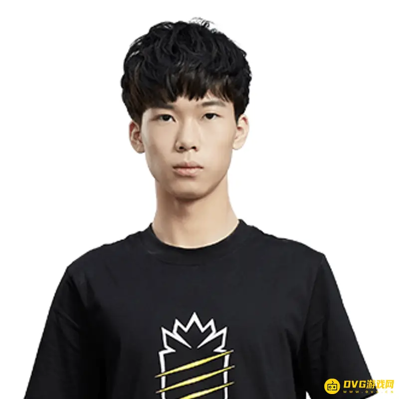 《王者荣耀》BA黑凤梨战队成员介绍