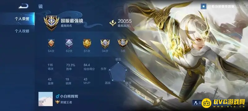 《王者荣耀》国标排名解析