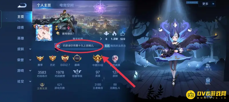 《王者荣耀》区排名前100标志显示方法