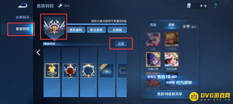 《王者荣耀》共享皮肤功能详解