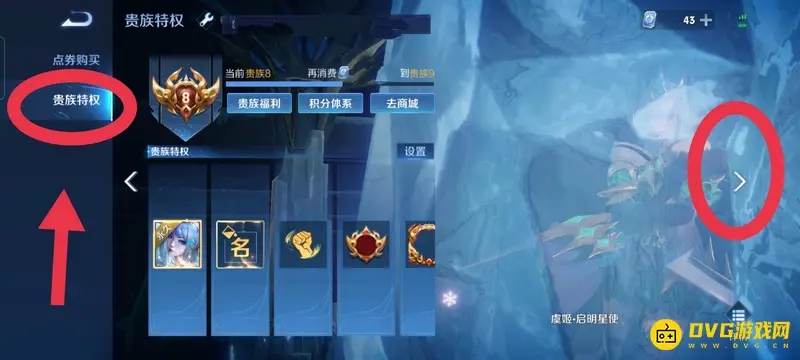 《王者荣耀》特权查看指南