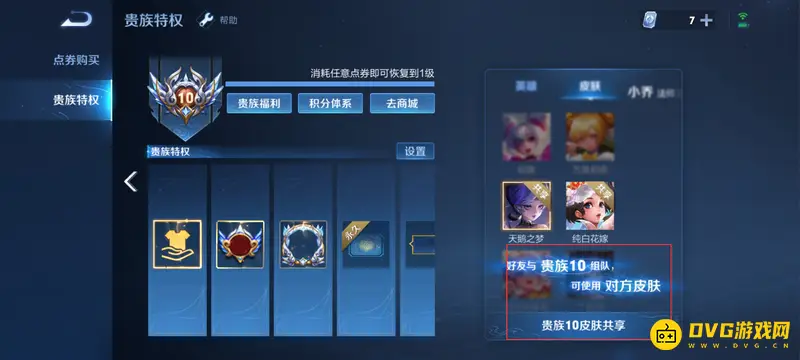 《王者荣耀》贵族十皮肤共享规则详解