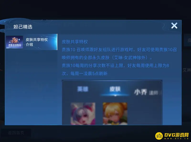 《王者荣耀》皮肤共享限制详解-贵族十玩家与好友次数规则