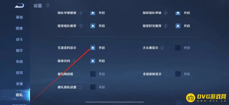 《王者荣耀》生涯资料显示详解