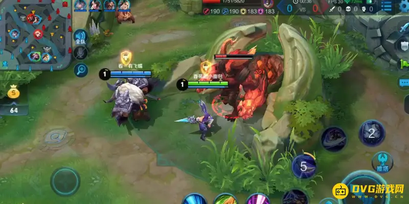 《王者荣耀》里的野王是什么意思