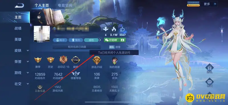 《王者荣耀》生涯资料显示详解