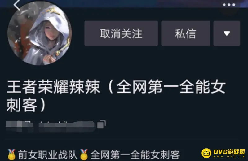 《王者荣耀》辣辣战队回顾