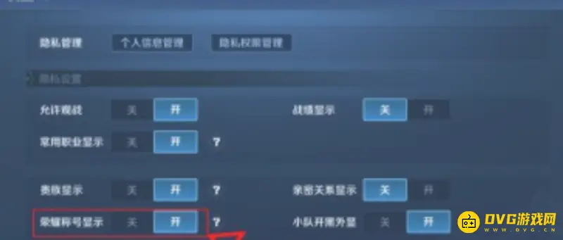 《王者荣耀》王者区前100显示方法详解