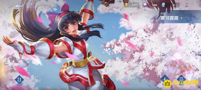 《王者荣耀》女英雄全览