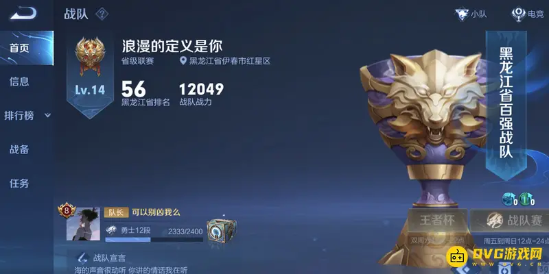 《王者荣耀》战队搜索不到原因解析