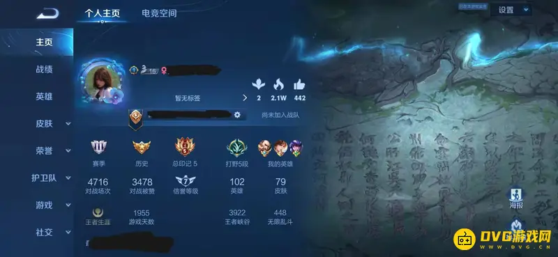 《王者荣耀》资料卡查看方法