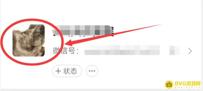 《王者荣耀》的性别更换方法详解