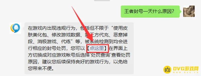 《王者荣耀》封号一天原因解析