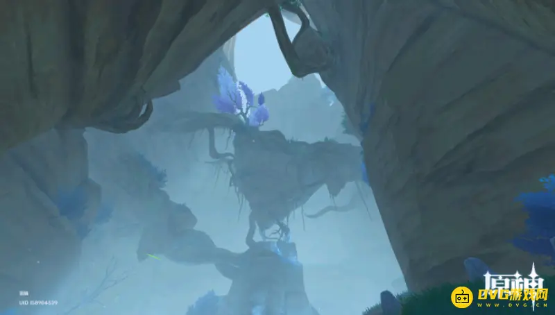 原神3.2荧光狍粉怎么获得-3.2版本中荧光狍粉的获取方法