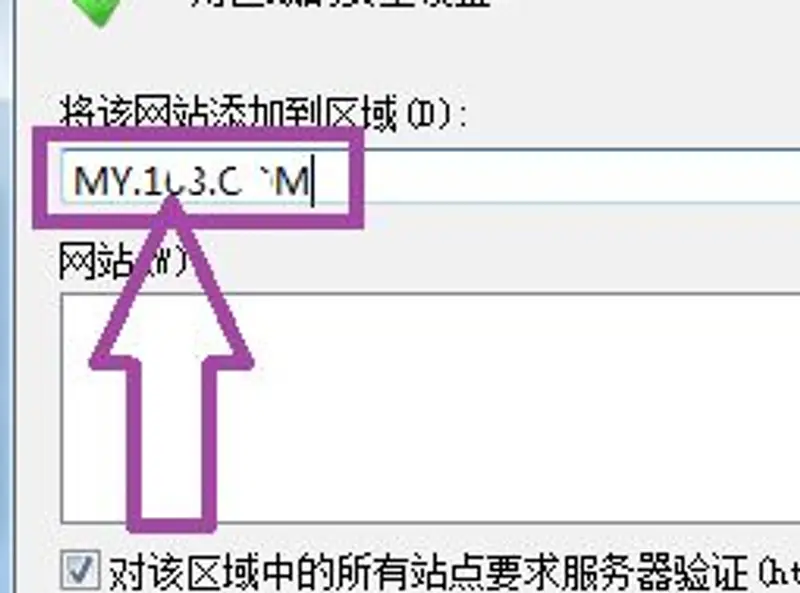 《梦幻西游》脚本错误解决方法详解