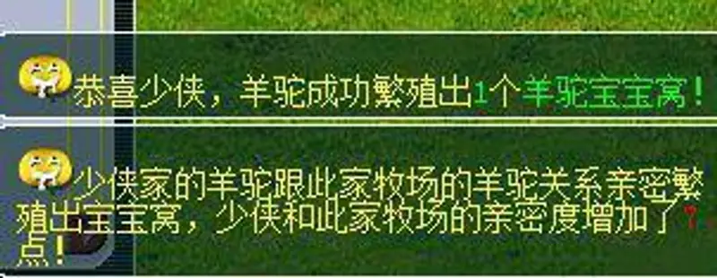 《梦幻西游》老区五开新号练法详解