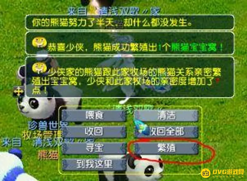 《梦幻西游》牧场熊猫繁殖技巧