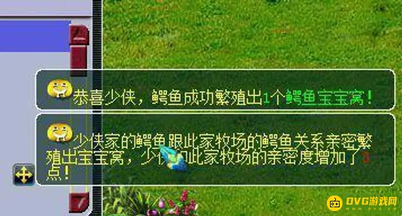 《梦幻西游》老区五开新号练法详解
